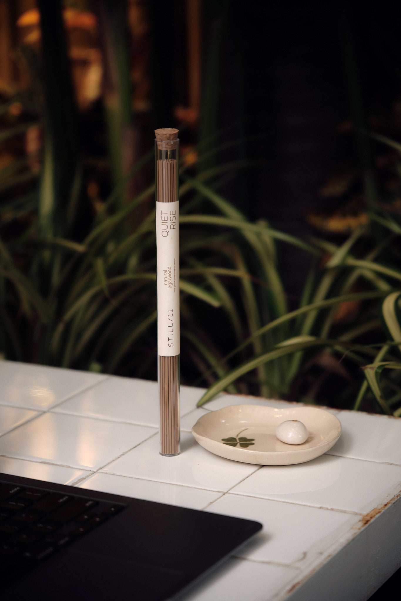 Quiet Rise — Where Your Daily Ritual With Agarwood Begins